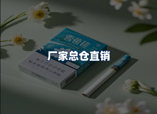 专业团队办公环境